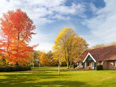 p tuin herfst (kopie 1)