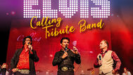 Tribute to the King komt naar Helmond! 