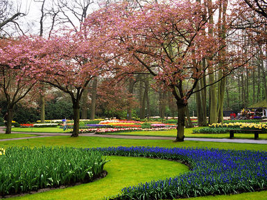 Keukenhof-Park-1