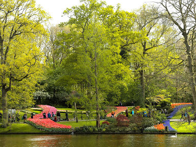 Keukenhof-Park-3