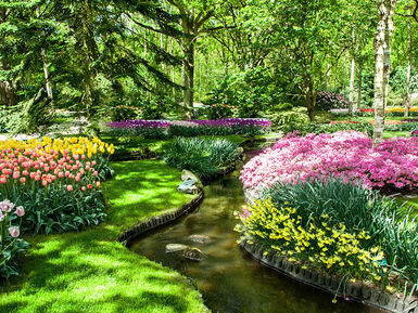 Keukenhof-Park-4