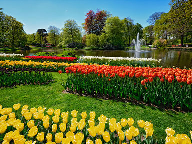 Keukenhof-Park-5