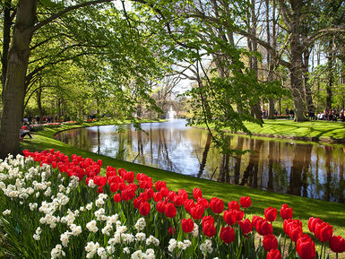 Keukenhof-Park-6