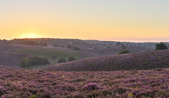 veluwe