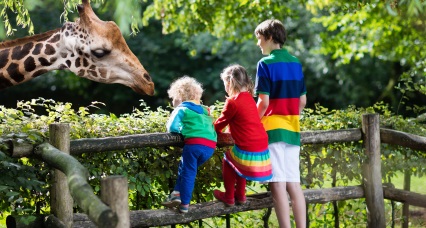 Kinderen bij een giraf in Safaripark Beekse Bergen