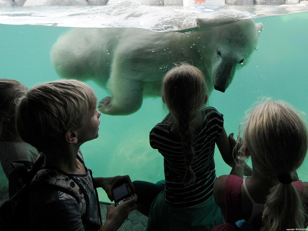 In Emmen Fletcher HotelRestaurant ByZoo Emmen