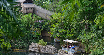 Groene binnenruimte bij WILDLANDS Adventure Zoo Emmen