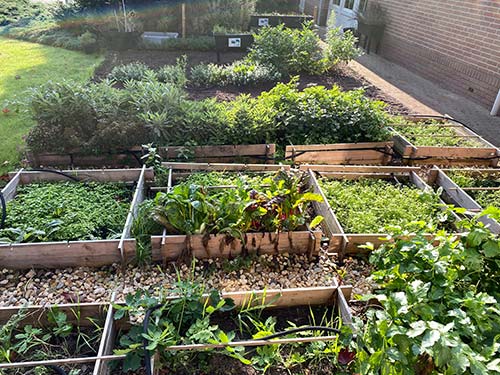 moestuin verantwoord ondernemen