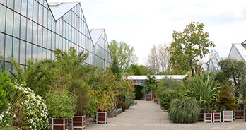 Botanische Tuinen Utrecht