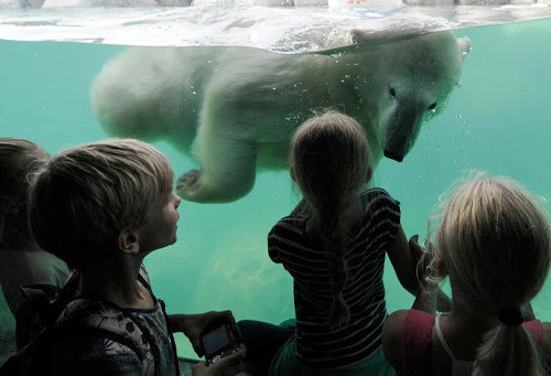 kids in de dierentuin