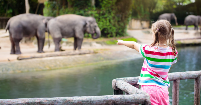 De 10 leukste dierentuinen van Nederland