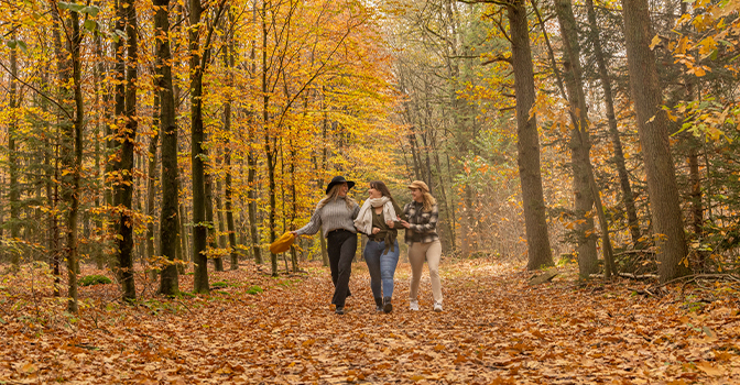 Beleef een unieke herfstvakantie