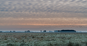Nationaal Park Drentsche Aa