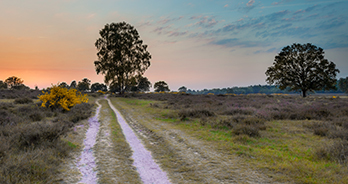 wandelpad utrechtse heuvelrug