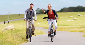 bikes