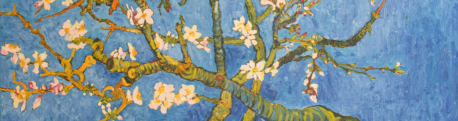 1920 x 510 Van Gogh Museum 
