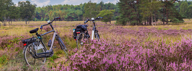 672 x 250 Fiets Veluwe