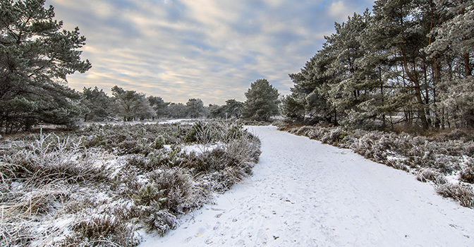 Die schönsten Winterspaziergänge in Holland