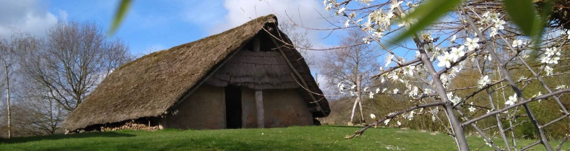 huis in archeologisch openlucht museum swifterkamp