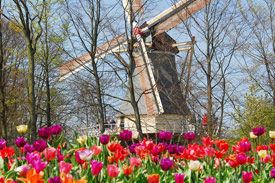 2- of 3-daags Keukenhof Arrangement_3