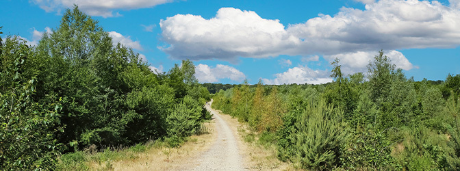 672 x 250 Nationaal Park De Maasduinen