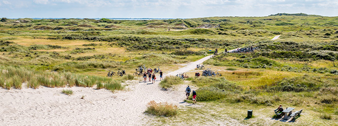 672 x 250 Groep wandelen door duinen