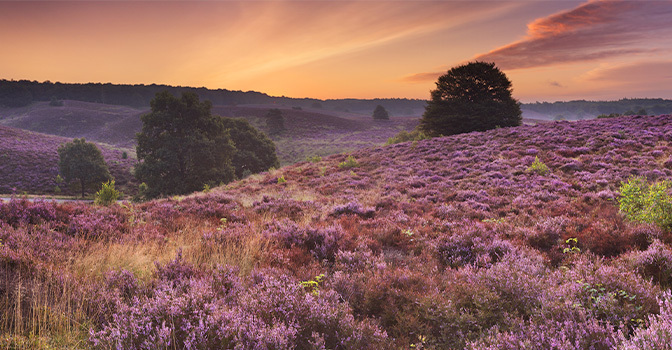 10 x de mooiste hotels op de Veluwe