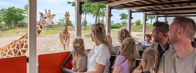 672 x 250 Burgers' Zoo Safari