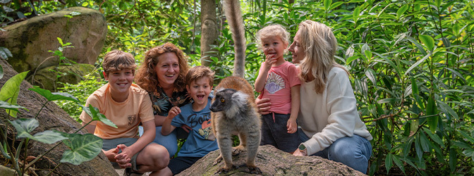 672 x 250 Familie bij WILDLANDS Zoo Emmen uitje