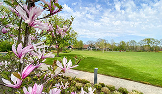 bloemen in bloei
