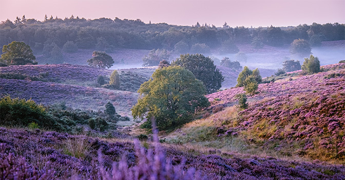 De mooiste wandelroutes op de Veluwe