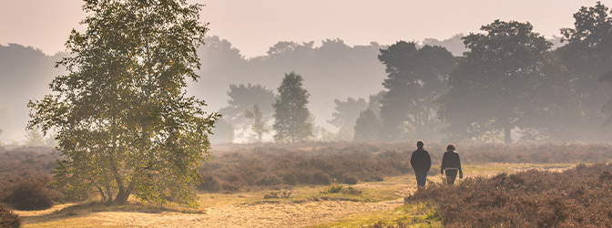 672 x 250 Wandelaars Nationaal Park De Hoge Veluwe