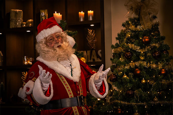 Kerstman bij een kerstboom