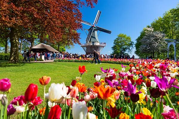Keukenhof