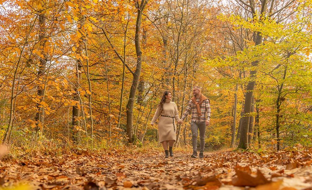 stel in herfstachtig bos