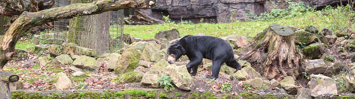 Burgers' Zoo in Arnhem, dierentuin met overdekte leefgebieden