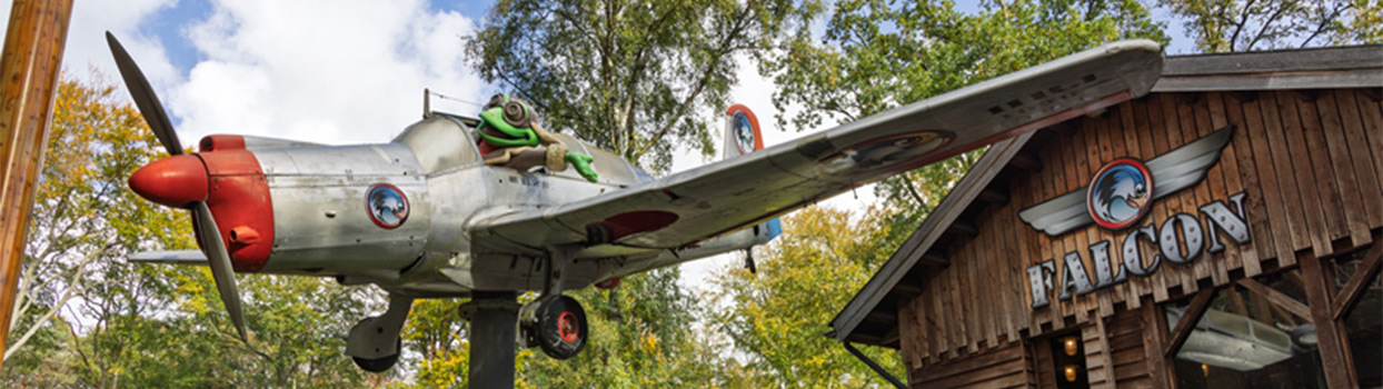 Falcon in Duinrell