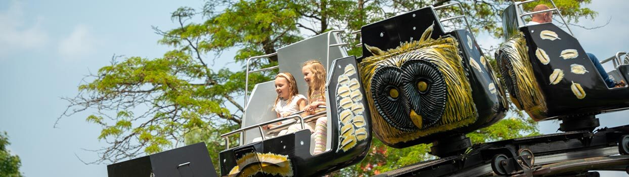Sfeerbeeld van Familiepark Drievliet