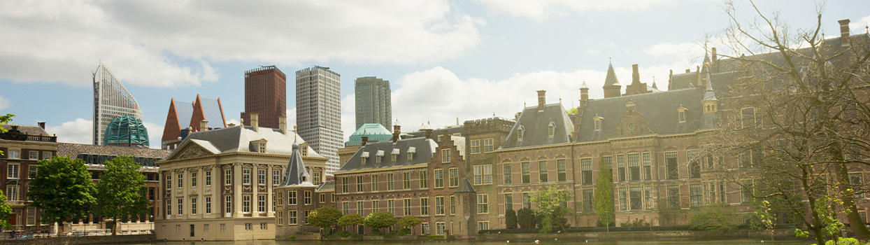 Het Mauritshuis met Den Haag op de achtergrond