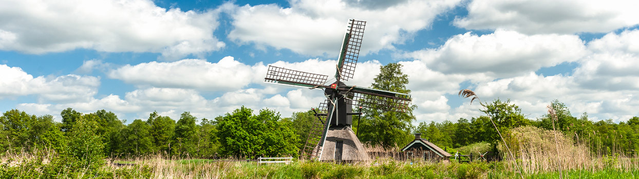 Een molen in Nationaal Park Weerribben-Wieden
