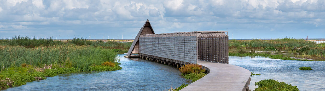 Natuureiland Marker Wadden in het Markermeer