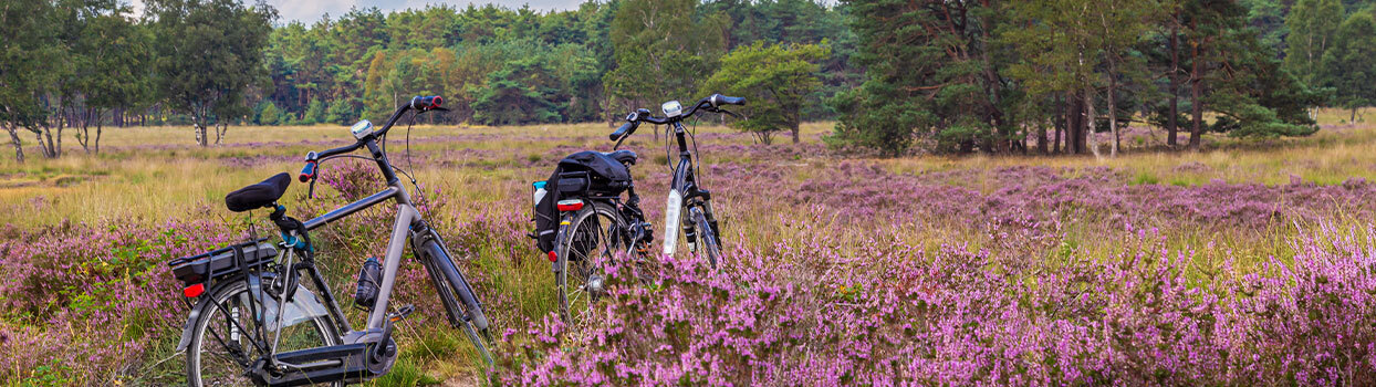 Natuurgebied in Nederland