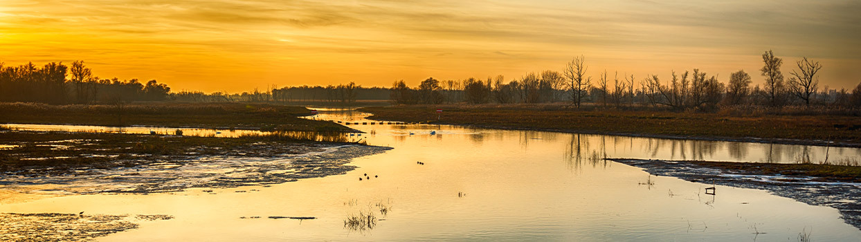 Kleurrijke zonsondergang in Nationaal Park De Biesbosch
