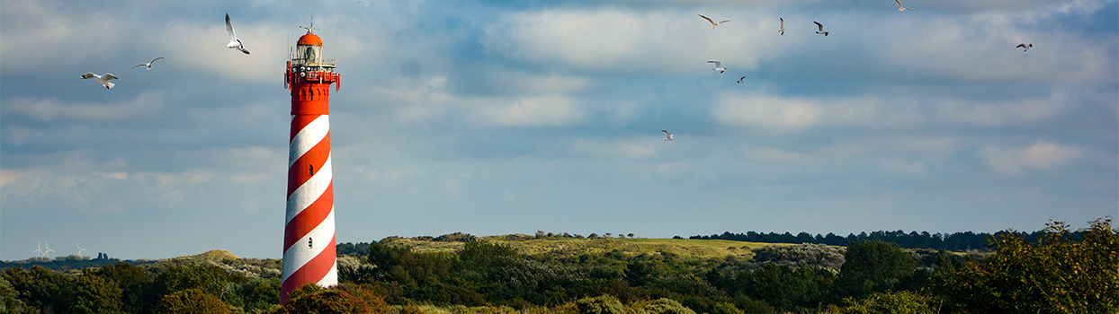 Westerlichttoren, vuurtoren en meeuwen aan de kust