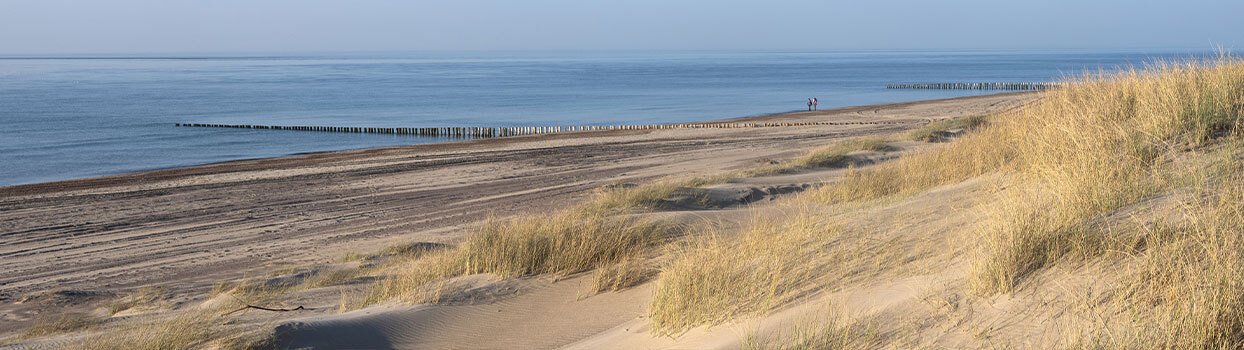 Het strand en de duinen van Renesse