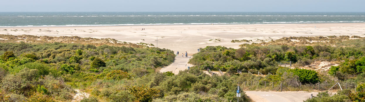 Strandopgang door de duinen bij Renesse