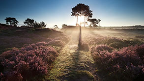 3-daags Fletcher Favorieten Arrangement De Zon_1
