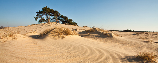 Soester Duinen omgeving Amersfoort