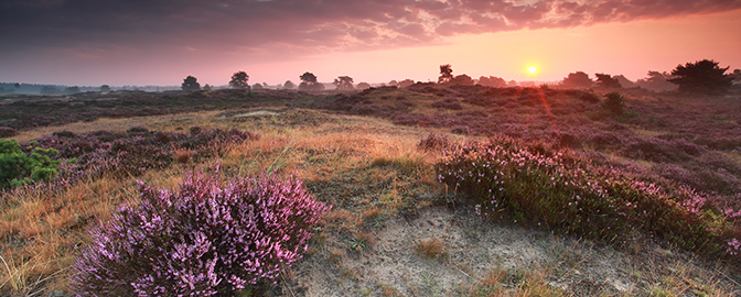 Zonsopgang op Veluwezoom