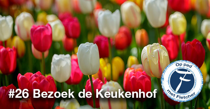 #26 Bezoek de Keukenhof